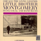 Trouble In Mind by Little Brother Montgomery