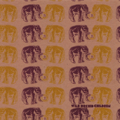 The Elephants