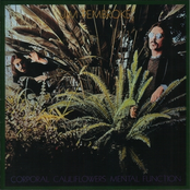 Corporal Cauliflower's Mental Function