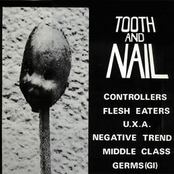Tooth and Nail
