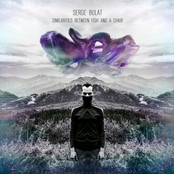 Similarities Between Fish And A Chair