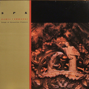 Zamia Lehmanni (Songs of Byzantine Flowers)