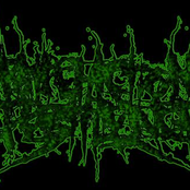 putrefaction pestilence