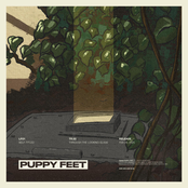 Through the Looking Glass