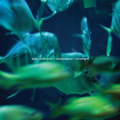 Bass Communion vs. Muslimgauze