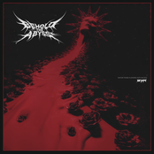 Water These Flowers With Blood