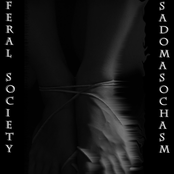Sadomasochasm