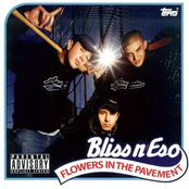 Get Amongst It by Bliss N Eso