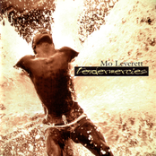Tendermercies