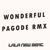 Wonderful Brazilian Pagode