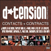 Contacts & Contracts