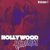 Hollywood Hairspray Volume 7