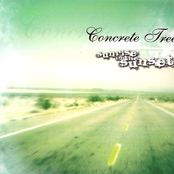 Another Minute by Concrete Tree