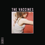 Norgaard by The Vaccines