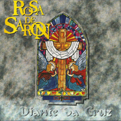 Mentiras Da Agulha by Rosa De Saron