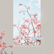 The Album (Remixes)