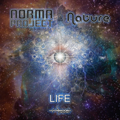 nature & norma project