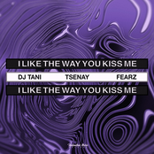 i like the way you kiss me (Techno)