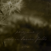 Split 7" with Peregrine