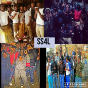 (T.Rose X GMGB )Go Crazy