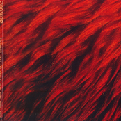 Set The Fire To The Brothel