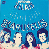 Zilais karuselis