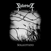 Sollicitudo
