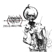 Strong and Unfailing as a Thunder