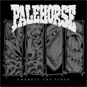 Palehorse: Amongst The Flock