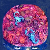 Christian Coiffure - Un Nouvel Âge Réminiscent