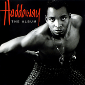 Life by Haddaway