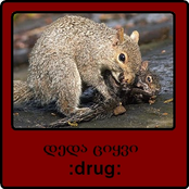 Ragnas Daevasa Anu Mec Momwons!!!.. *: