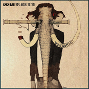 24 Trips Around The Sun