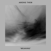 Meaning - Single