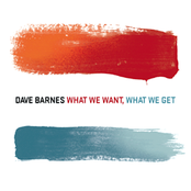 What We Want, What We Get by Dave Barnes