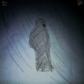 "I saw it enter my mind and body"