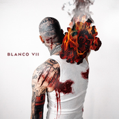 Blanco 7