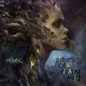 Pictures Of A Floating World