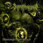 Dimensions of Diverse Brutality