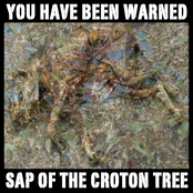 sap of the croton tree