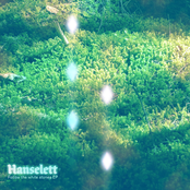 Follow the white stones...EP