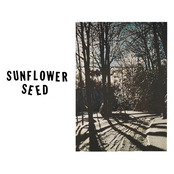 Magazine Beach: Sunflower Seed