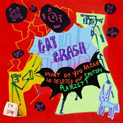 Cat Crash: WDYMHDOSP?