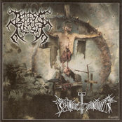 Bliss of Flesh / Bloodhammer