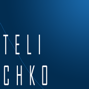 telychko inc.