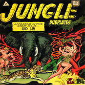 Jungle Dubplates vol.1
