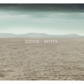 Buscant by Gossos