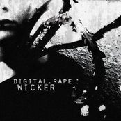 Wicker by Digital.rape