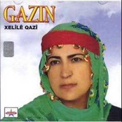 gazin