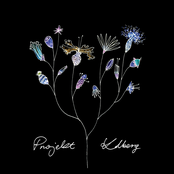 Etnogramy/Projekt.Kolberg